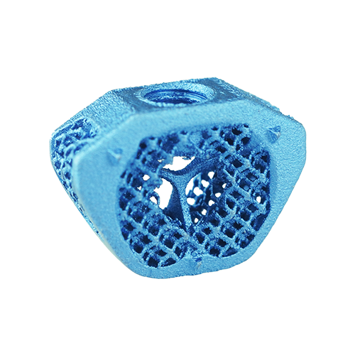 LeiCAGE Intervertebral Cages