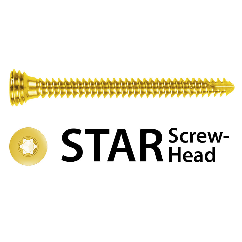 1.3 Locking Screw, Titanium