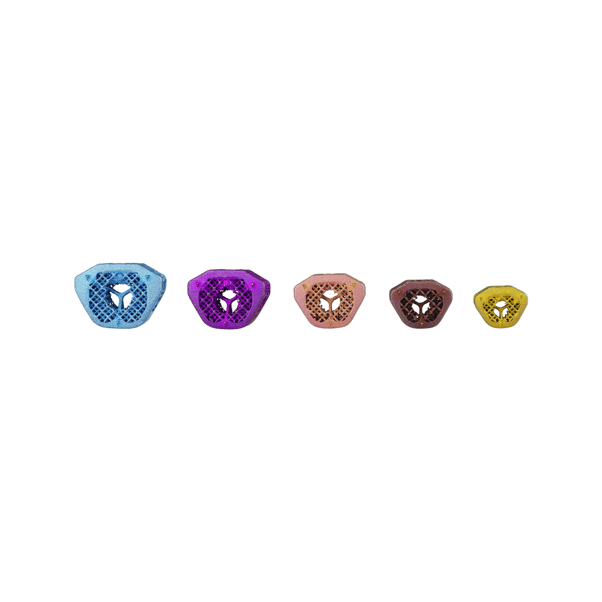 LeiCAGE Intervertebral Cages