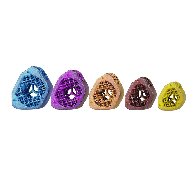 LeiCAGE Intervertebral Cages